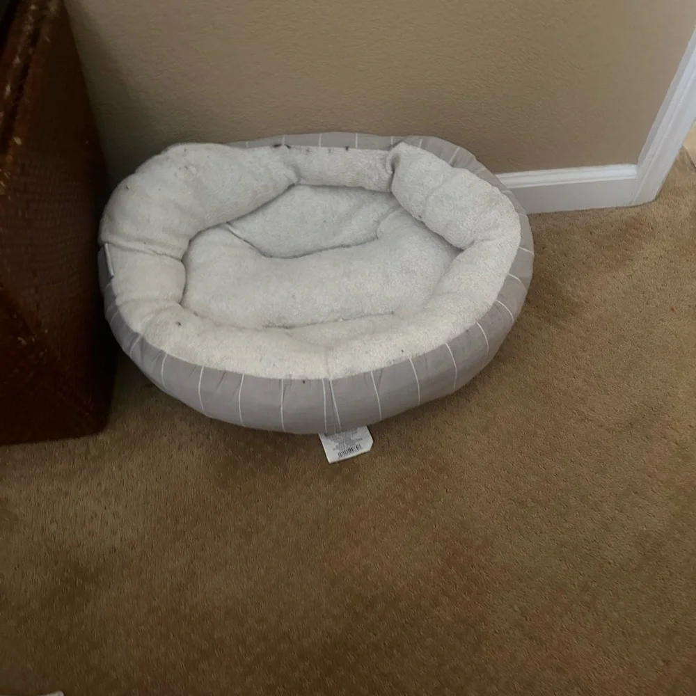 Cozy Cream Pet Bed